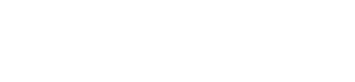 Сокіл